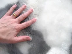 Walk On Me Faux Fur Super Soft Kids Sheep Rug Tufted With Non-slip Backing Area Rug -Kids’ Furniture Store GUEST 07e300e9 4ef0 4d8d ba70 4b5e95babb90