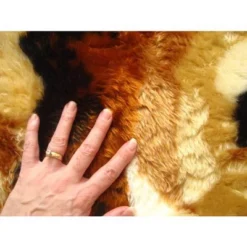 Walk On Me Faux Fur Super Soft Kids Lion Rug Tufted With Non-slip Backing Area Rug -Kids’ Furniture Store GUEST 10f1a3ac 6ed1 4a56 9f14 79097af909b6