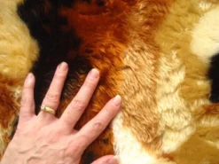 Walk On Me Faux Fur Super Soft Kids Lion Rug Tufted With Non-slip Backing Area Rug -Kids’ Furniture Store GUEST 26124660 d31a 4512 a49a 0d9a81616990