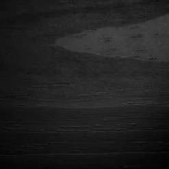 Twin Fakto Solid Wood Bunk Beds Matte Black - South Shore -Kids’ Furniture Store GUEST 434e89c4 0424 4882 803c 016cb10613e9