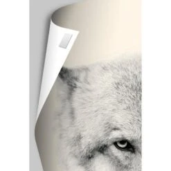 Trends International Disney Pixar Turning Red - Teaser One Sheet Unframed Wall Poster Prints -Kids’ Furniture Store GUEST 56d31d4e 82a0 4384 abb9 92c9c4c39526 1