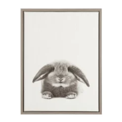 24" X 18" Rabbit Framed Canvas Art - Uniek -Kids’ Furniture Store GUEST bb38d7de 7144 440b aff3 bd2a5477e6cc